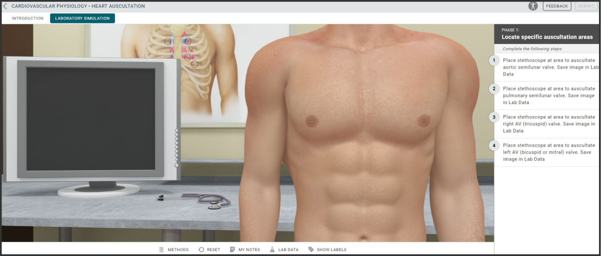 Anatomy & Physiology interface in virtual labs