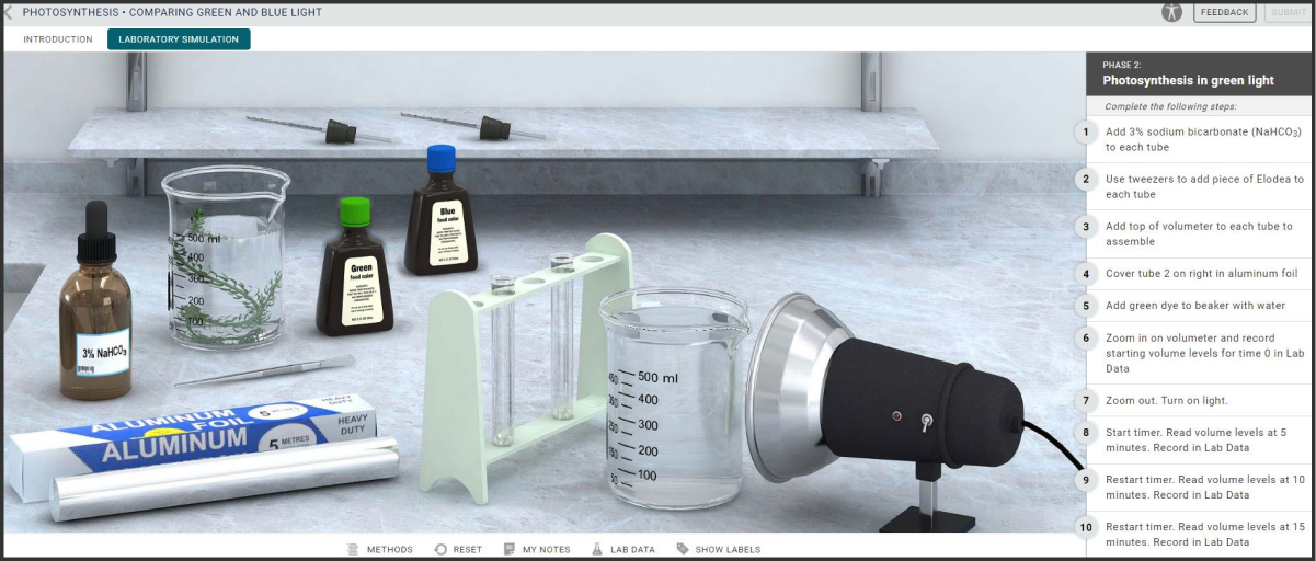 Botany interface in Virtual Labs 