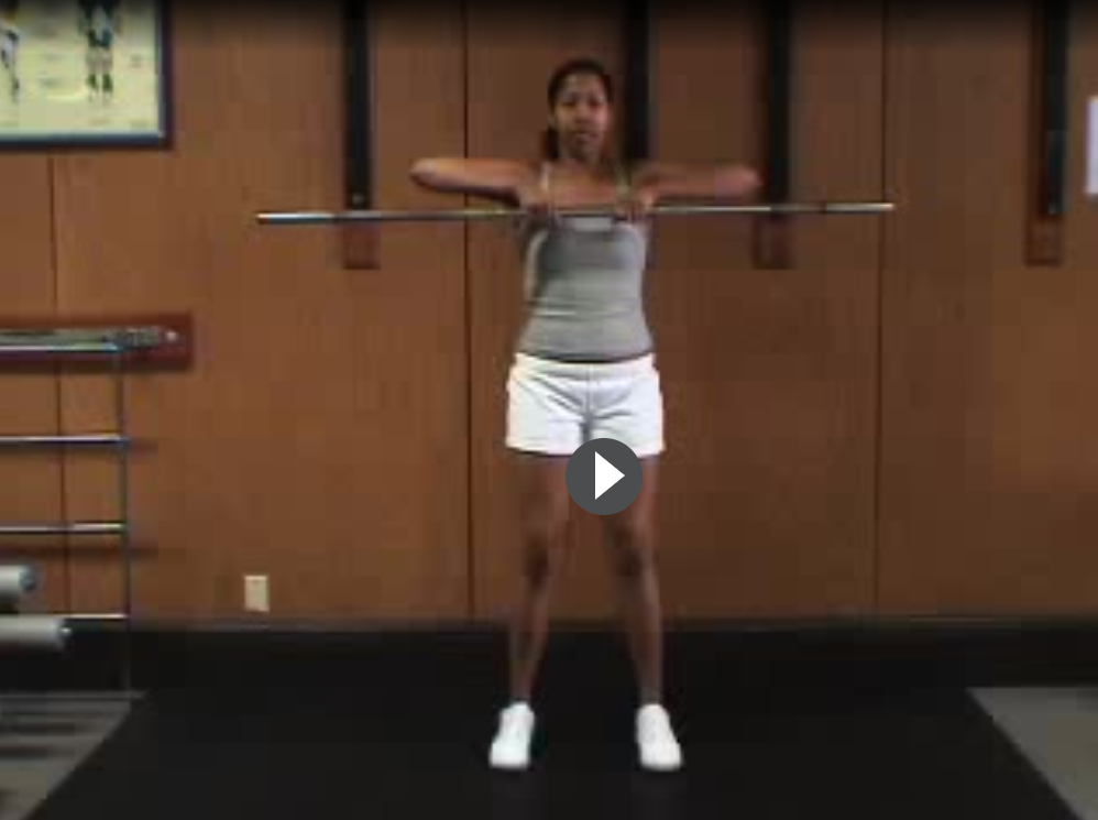 Exercise Videos