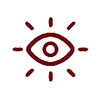 Critical Insights Icon Critical Insights Icon