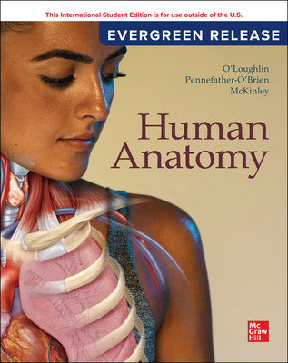 Human Anatomy