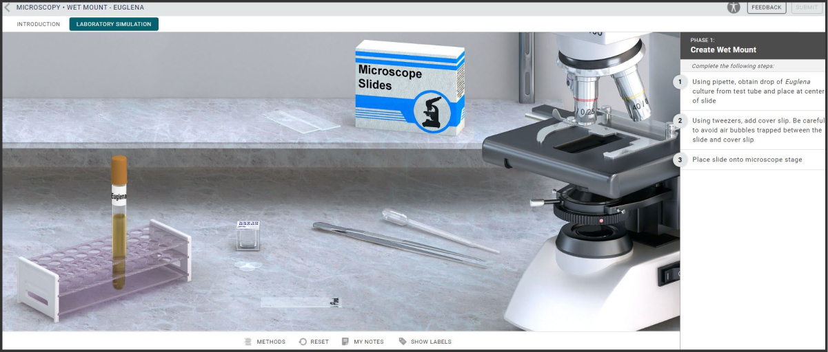 Microbiology interface in Virtual Labs