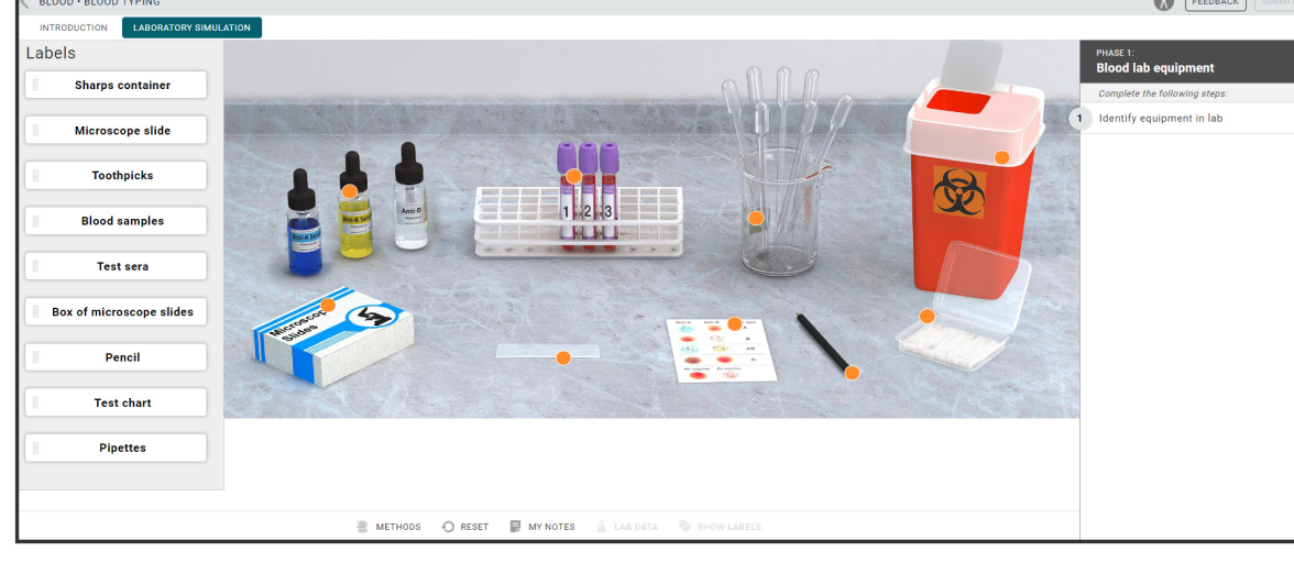 Phlebotomy interface in Virtual Labs